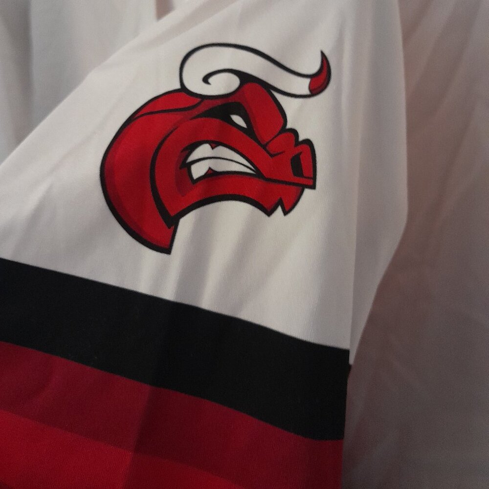 FREE WITH PURCHASE!! - Chicago Bulls Jersey 11 Woomer - Picture 3 of 8